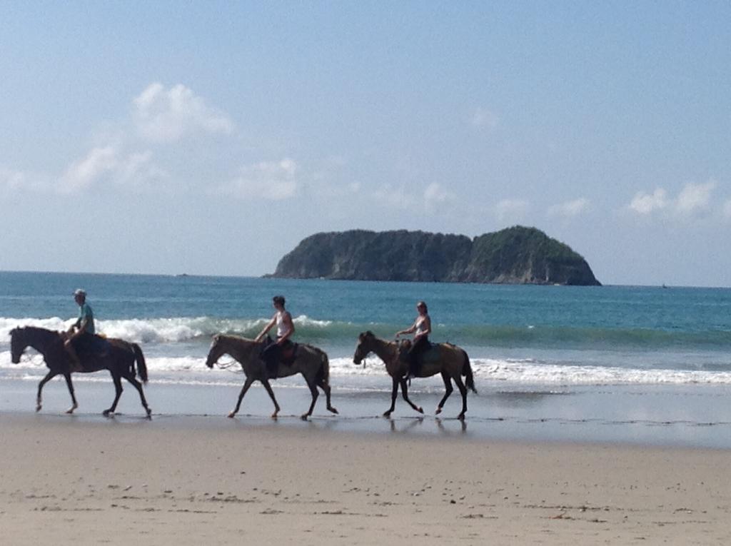 Casa Libert'inn Nationalpark Nationalpark Manuel Antonio Exterior foto