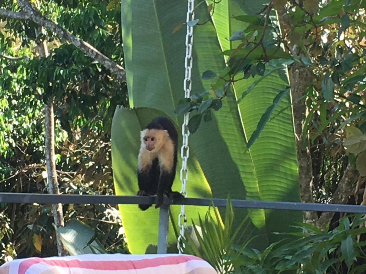 Casa Libert'inn Nationalpark Nationalpark Manuel Antonio Exterior foto